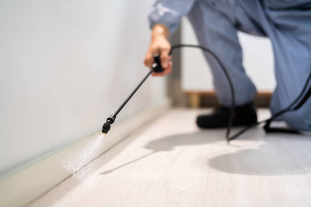 Licensed Cockroach Control service in Presquille, LA - Nex Pest Control