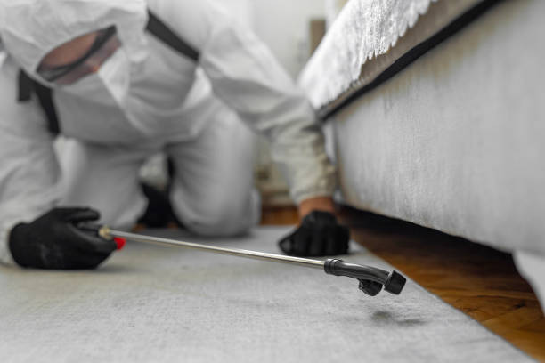 Professional Cockroach Control technician working in Presquille, LA