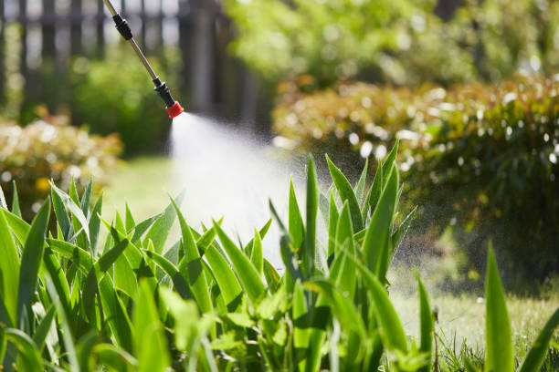 24/7 Emergency Cockroach Control experts in Presquille, LA