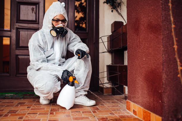 Reliable Cockroach Control contractor in Presquille, LA by Nex Pest Control