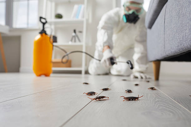 Affordable Cockroach Control solutions in Presquille, LA